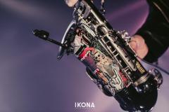 Ikona1